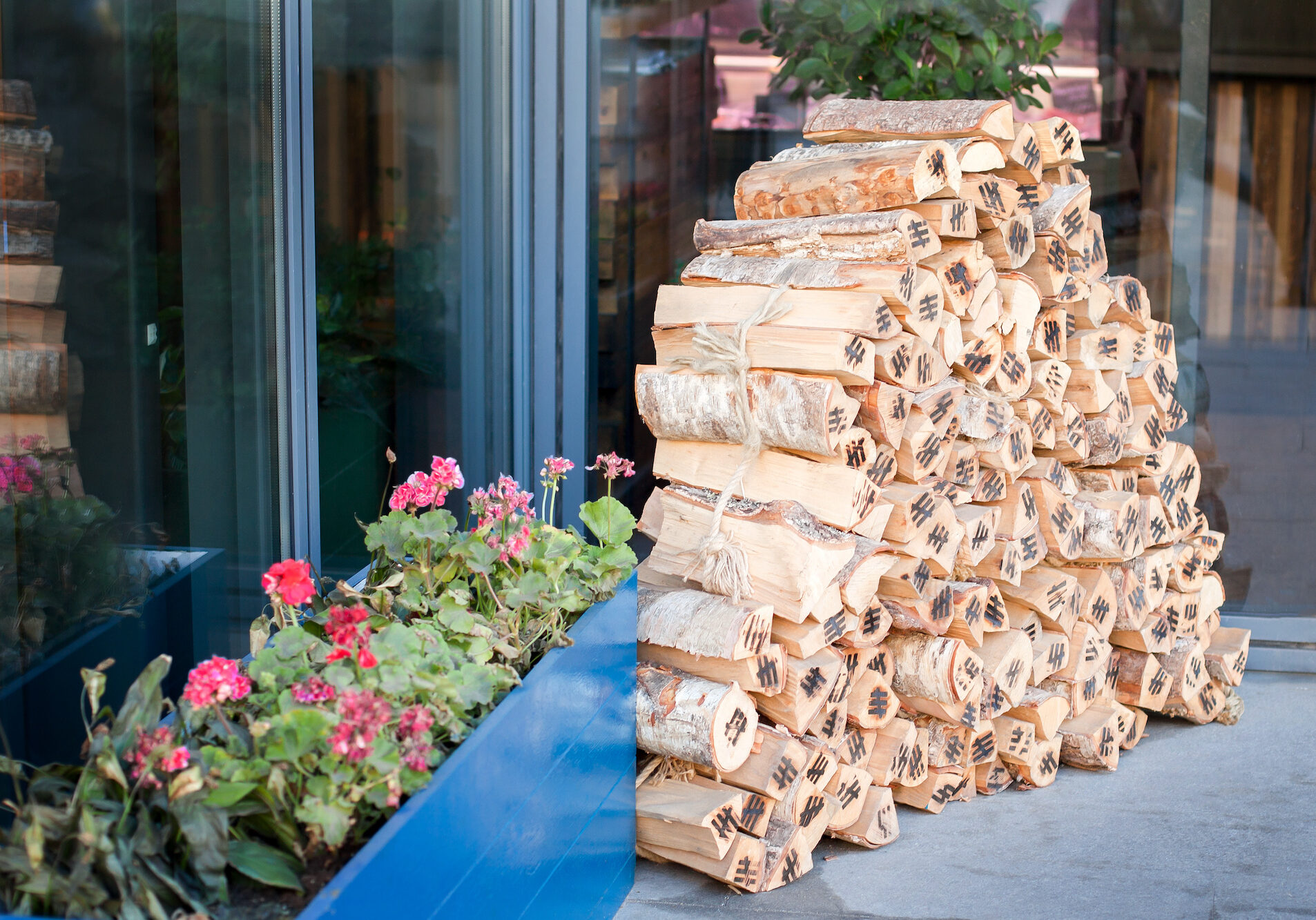 Pile of birch firewood neatly stacked near the building next to the flower bed